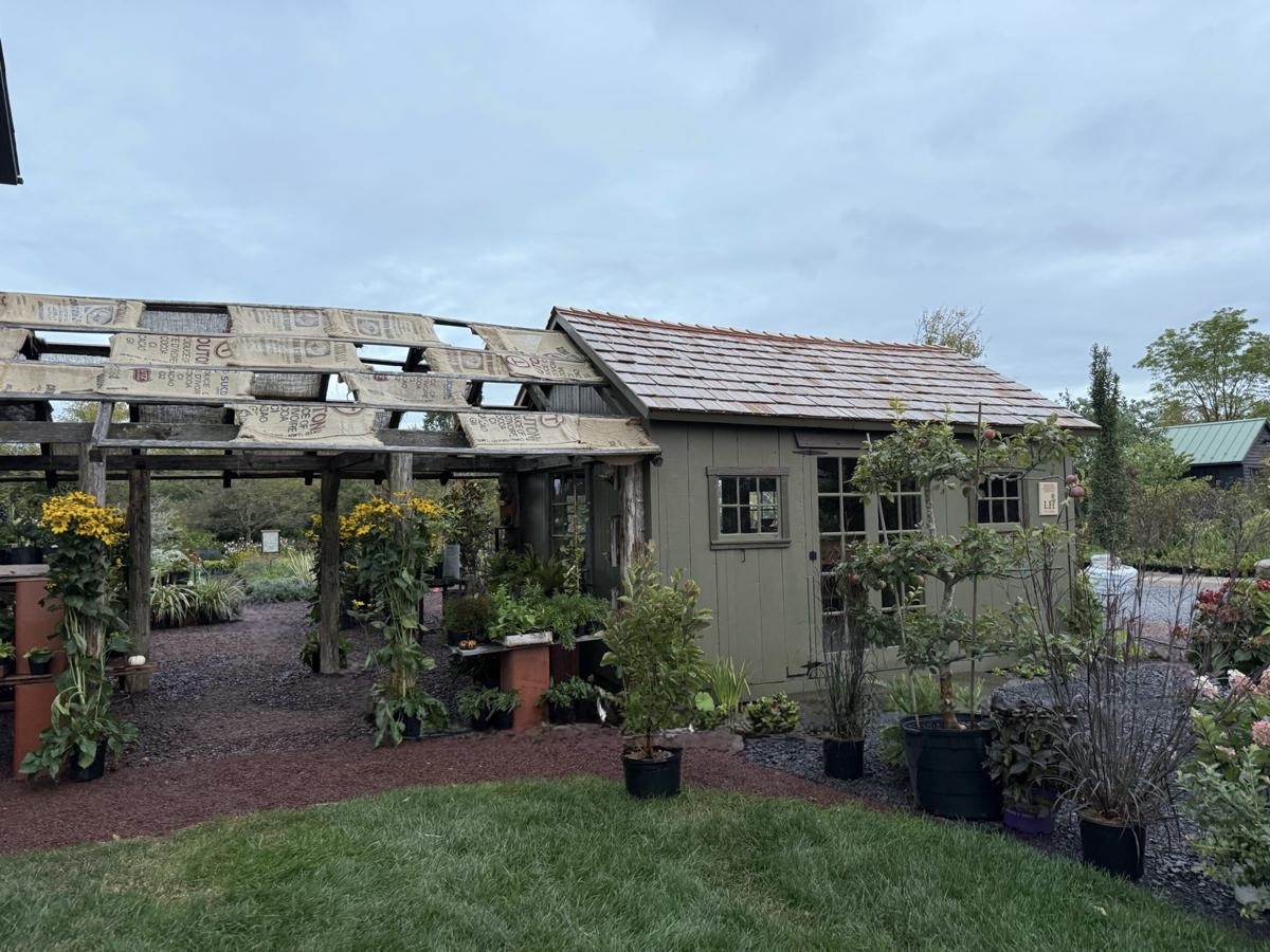 Rare & Unusual Plants